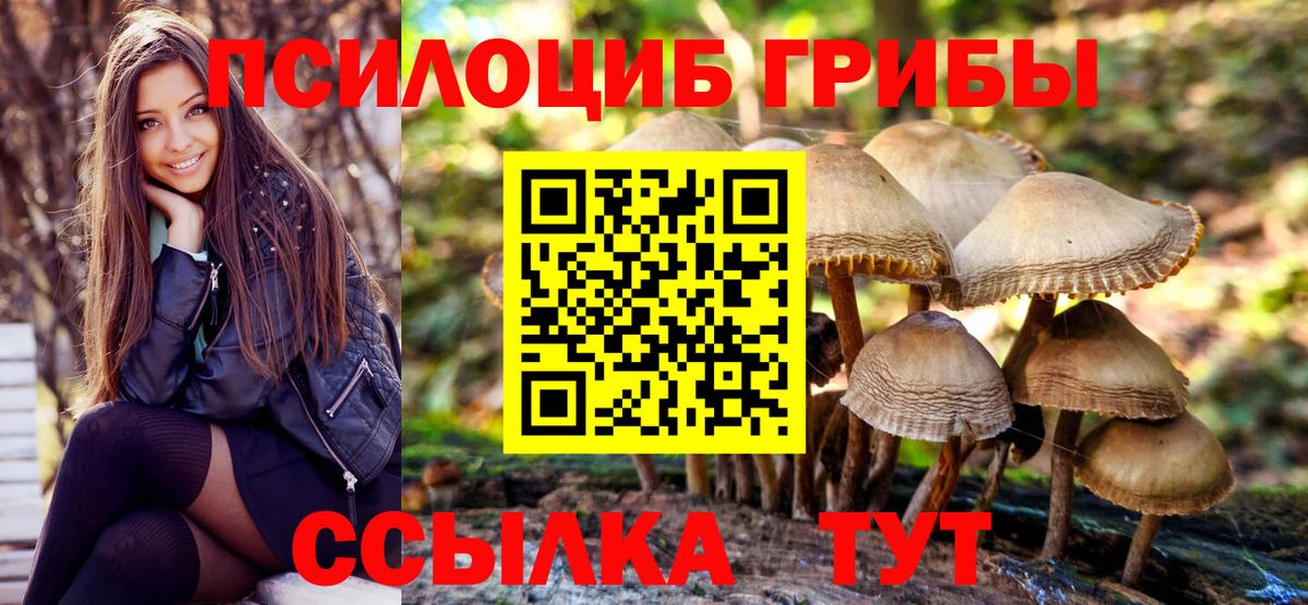 Галлюциногенные грибы GOLDEN TEACHER Сегежа