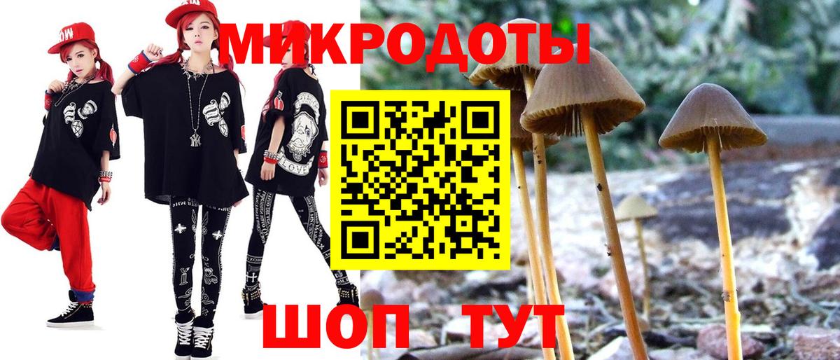 Галлюциногенные грибы мицелий  Вход с VPN  Галлюциногенные грибы мицелий  Сегежа 